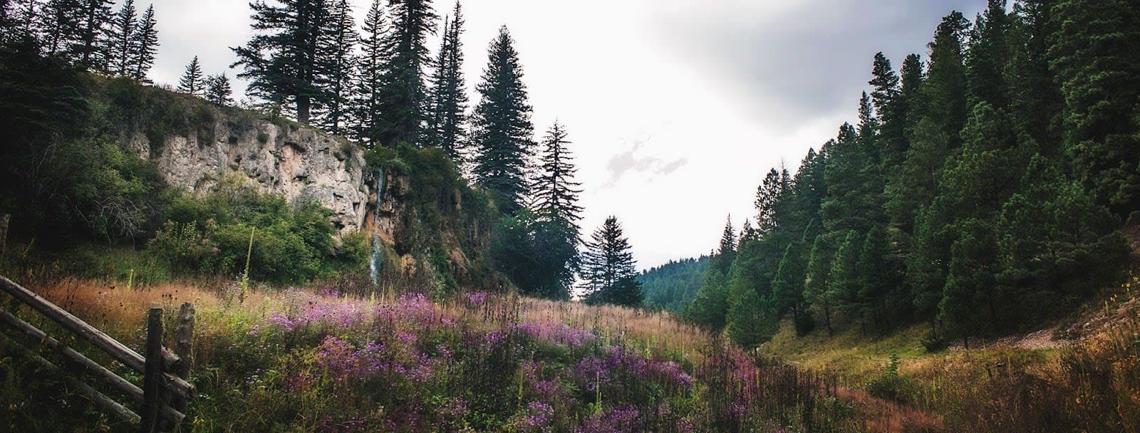 Lincoln National Forest