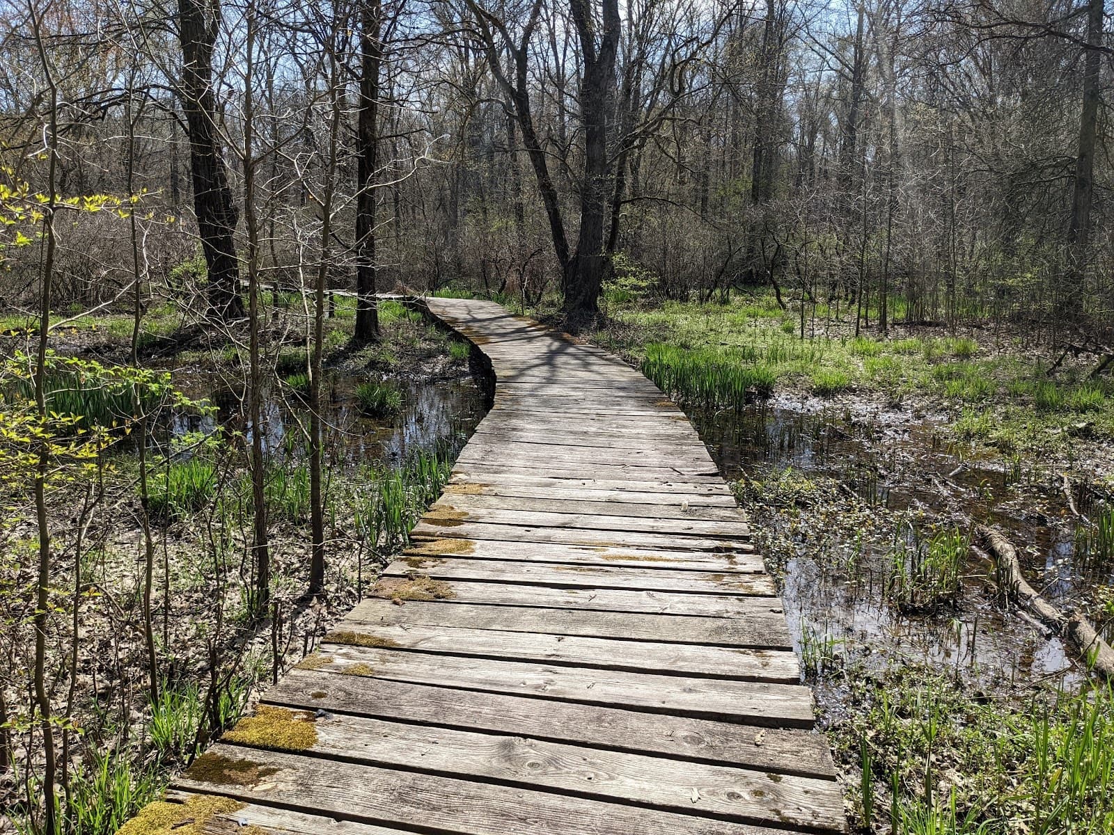 Lord Stirling Park Bridle Path