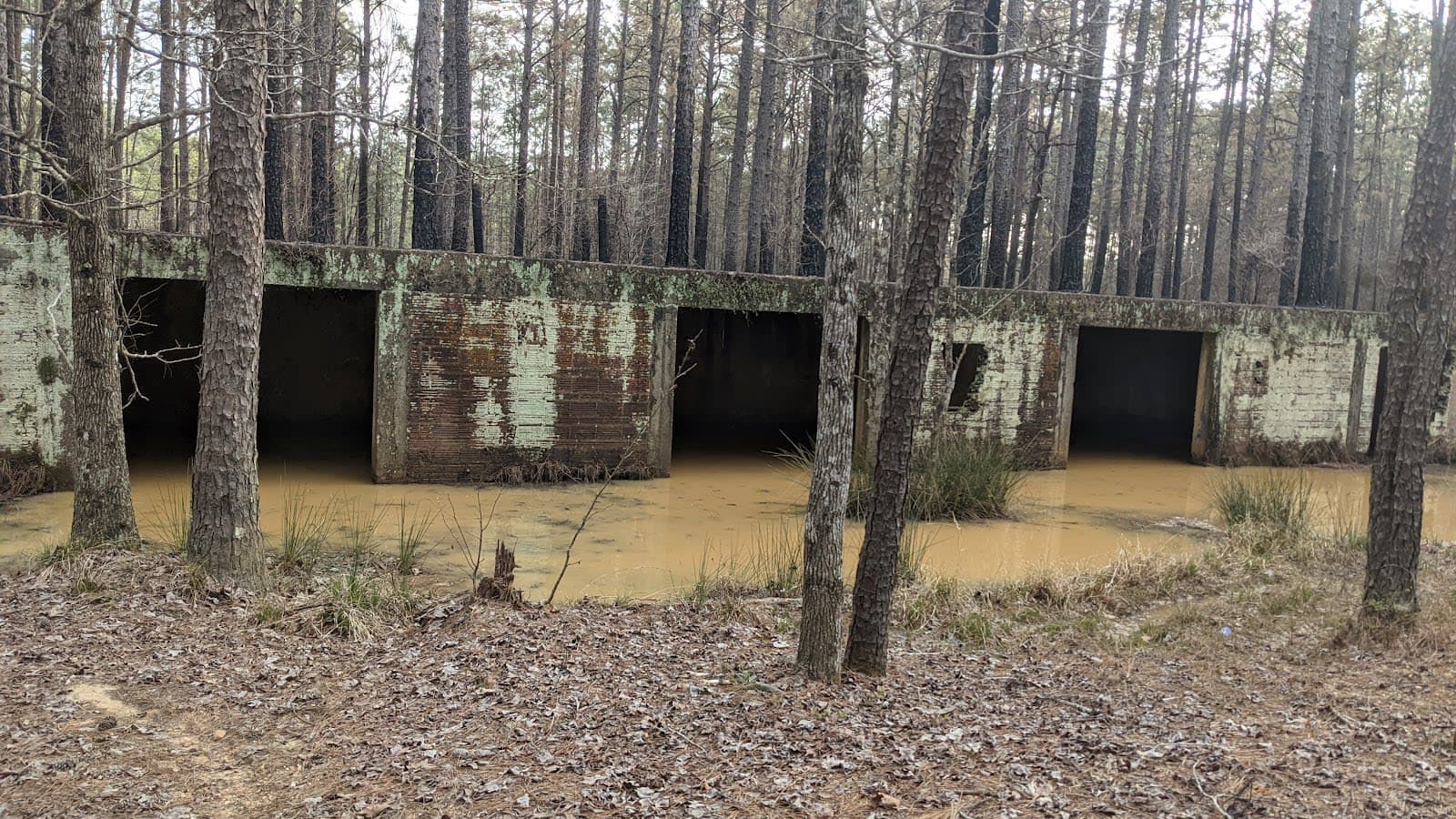 Loran/Claiborne Trailhead Camp