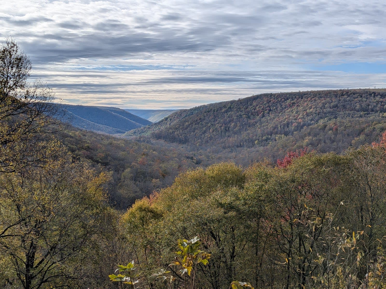 Loyalsock State Forest