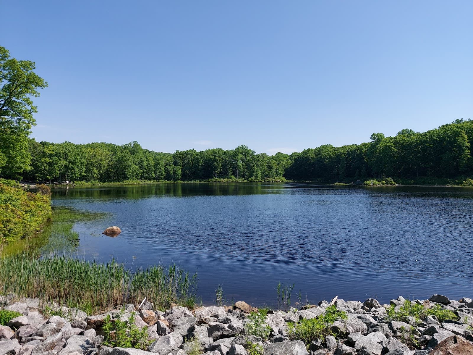 Mahlon Dickerson Reservation