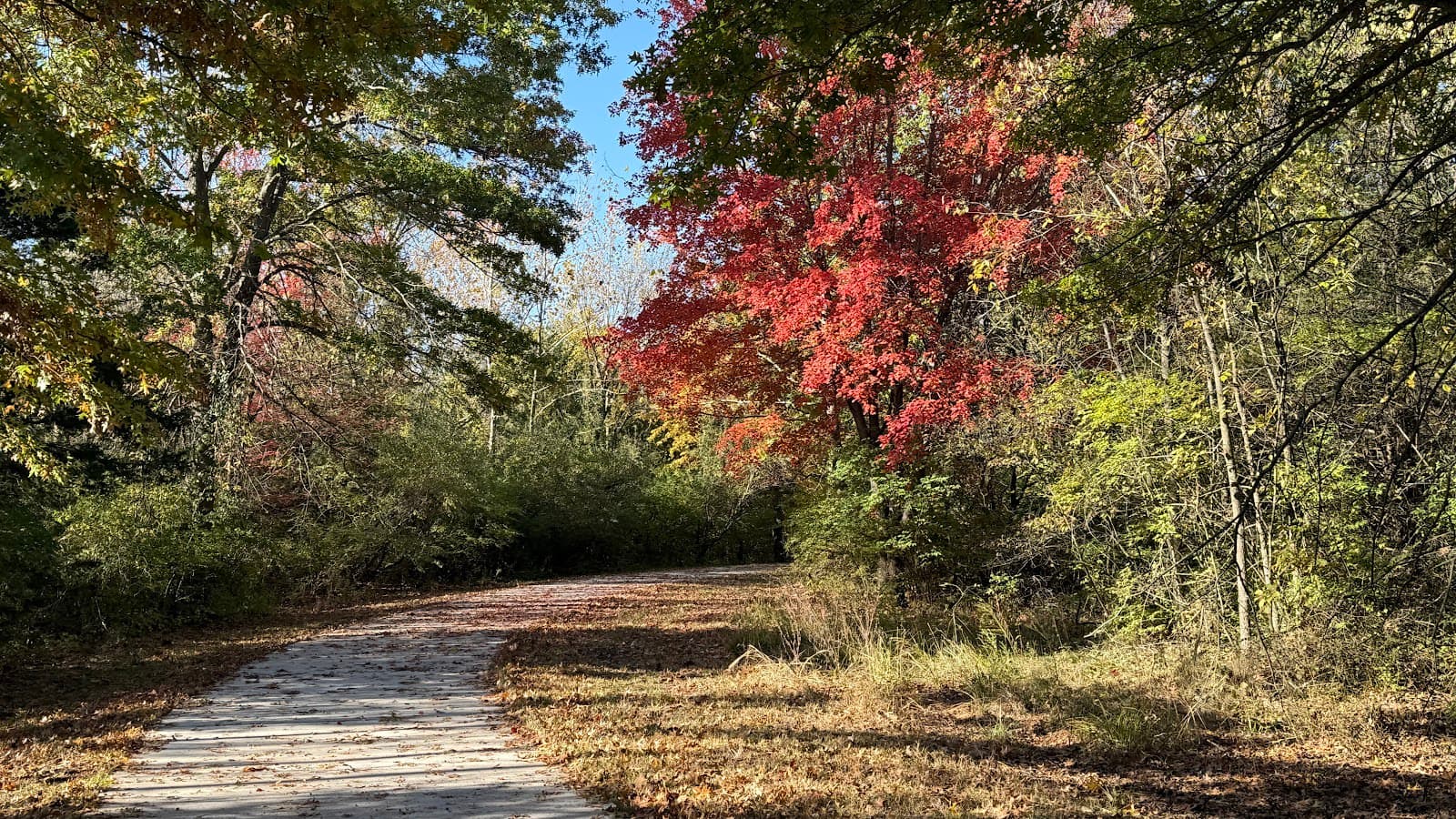 Marina Main Trail