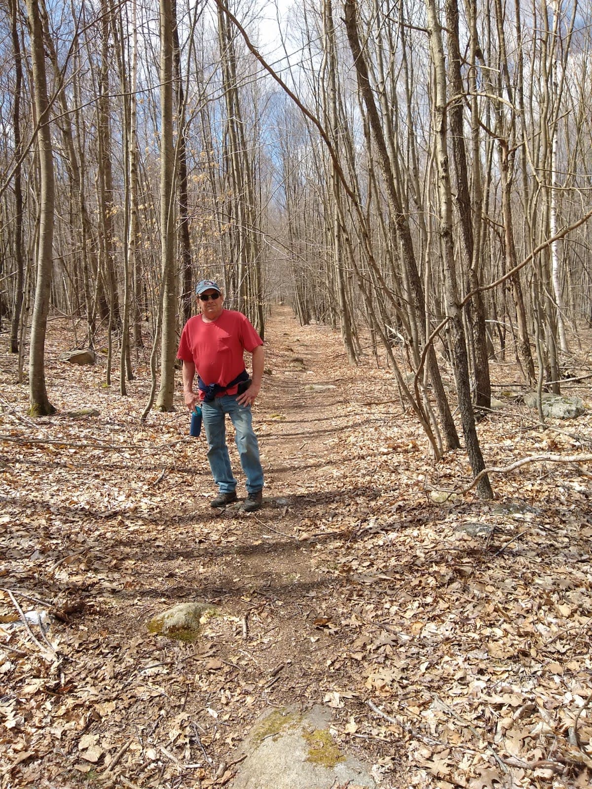 Meshomasic State Forest