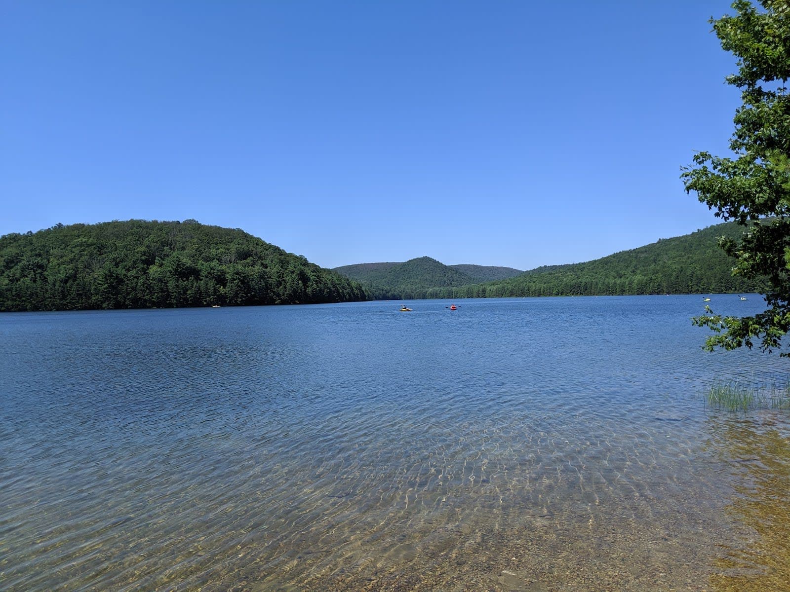 Michaux State Forest