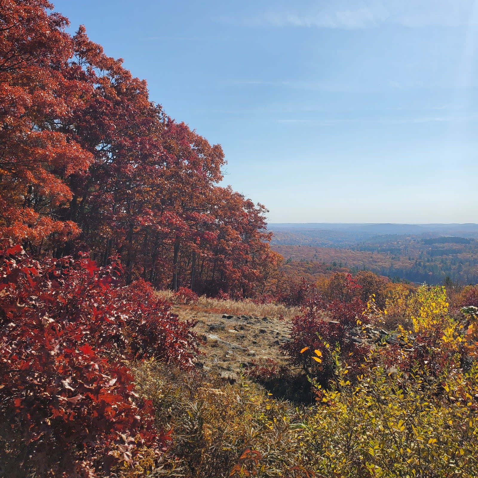 Mohawk State Park/Forest