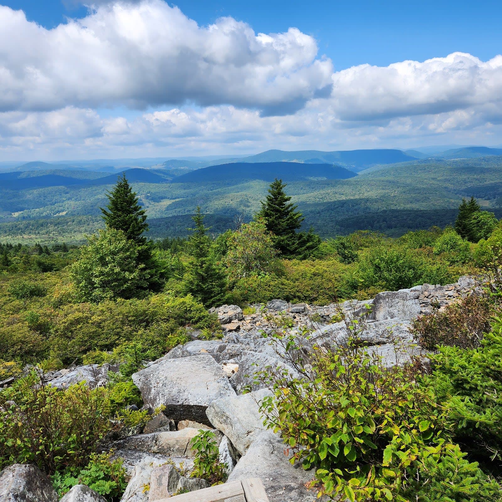 Monongahela National Forest - West Fork Trail
