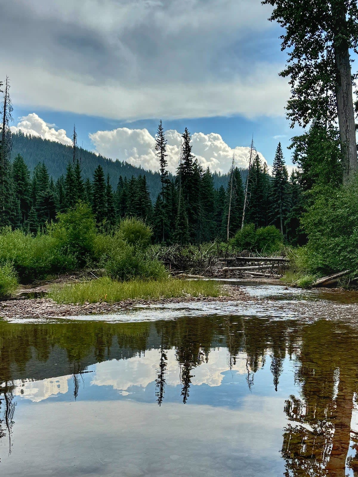 Monture Creek Campground