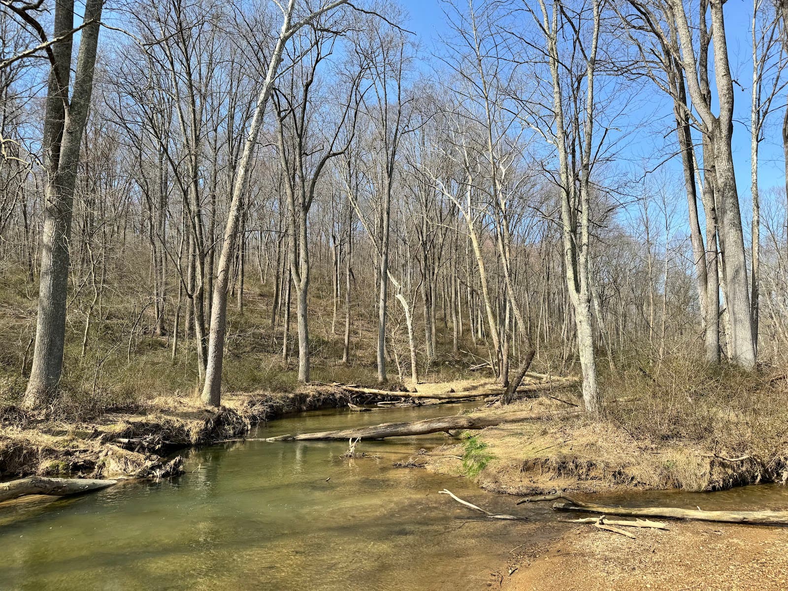 Morgan Run Natural Environment Area
