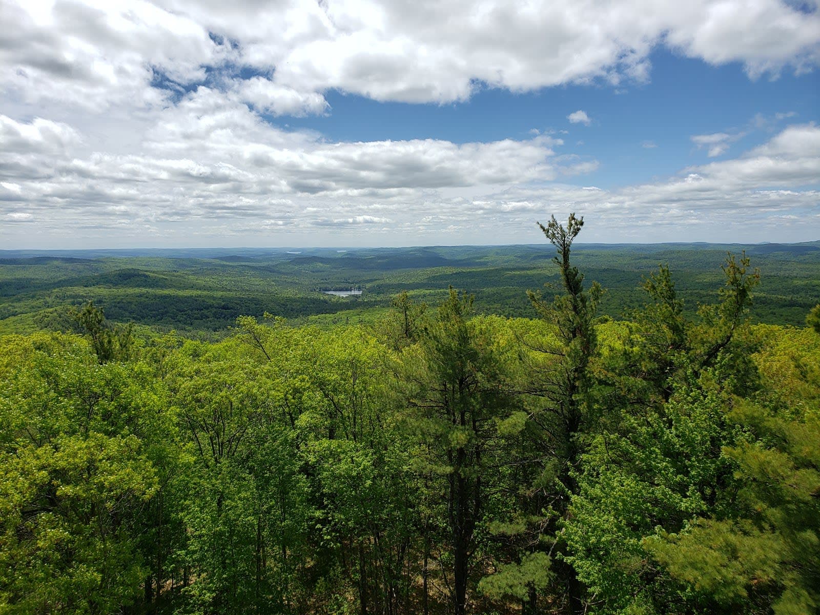 Mount Grace State Forest