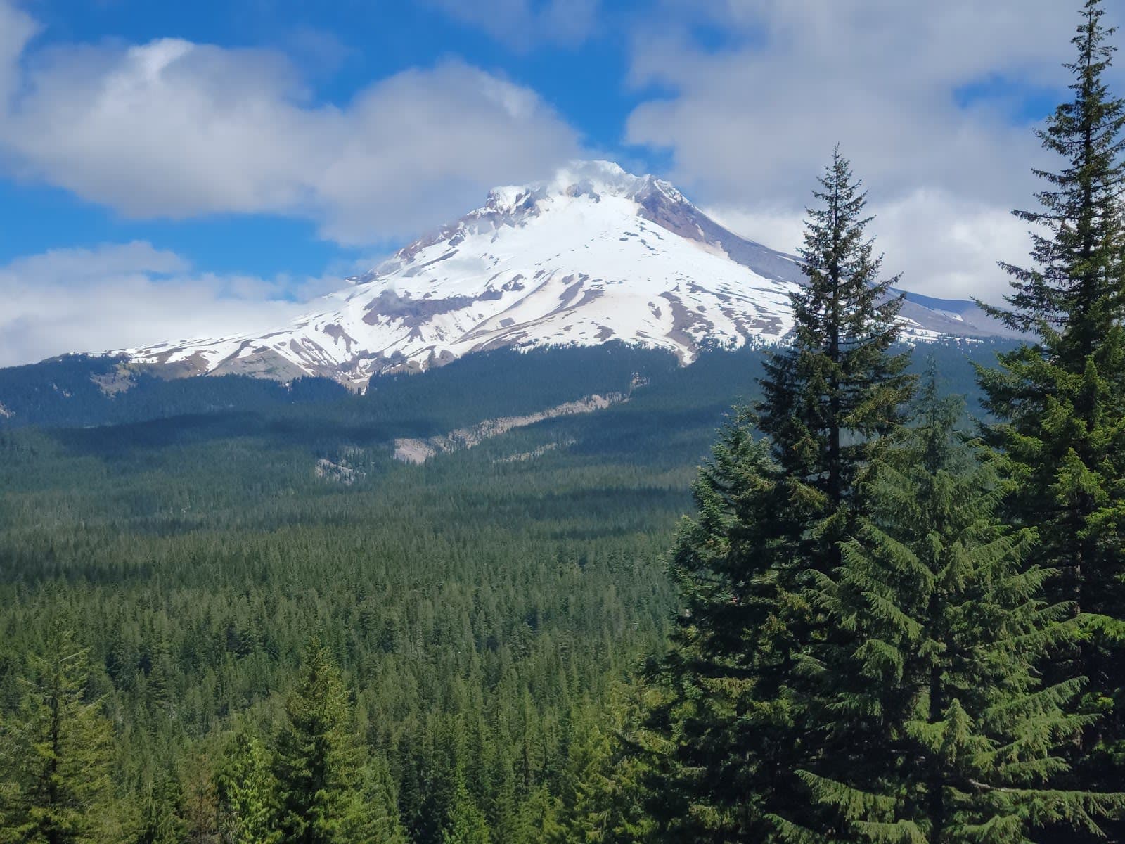 Mount Hood National Forest