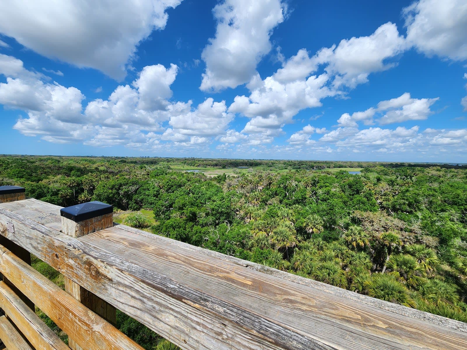 Myakka River State Park