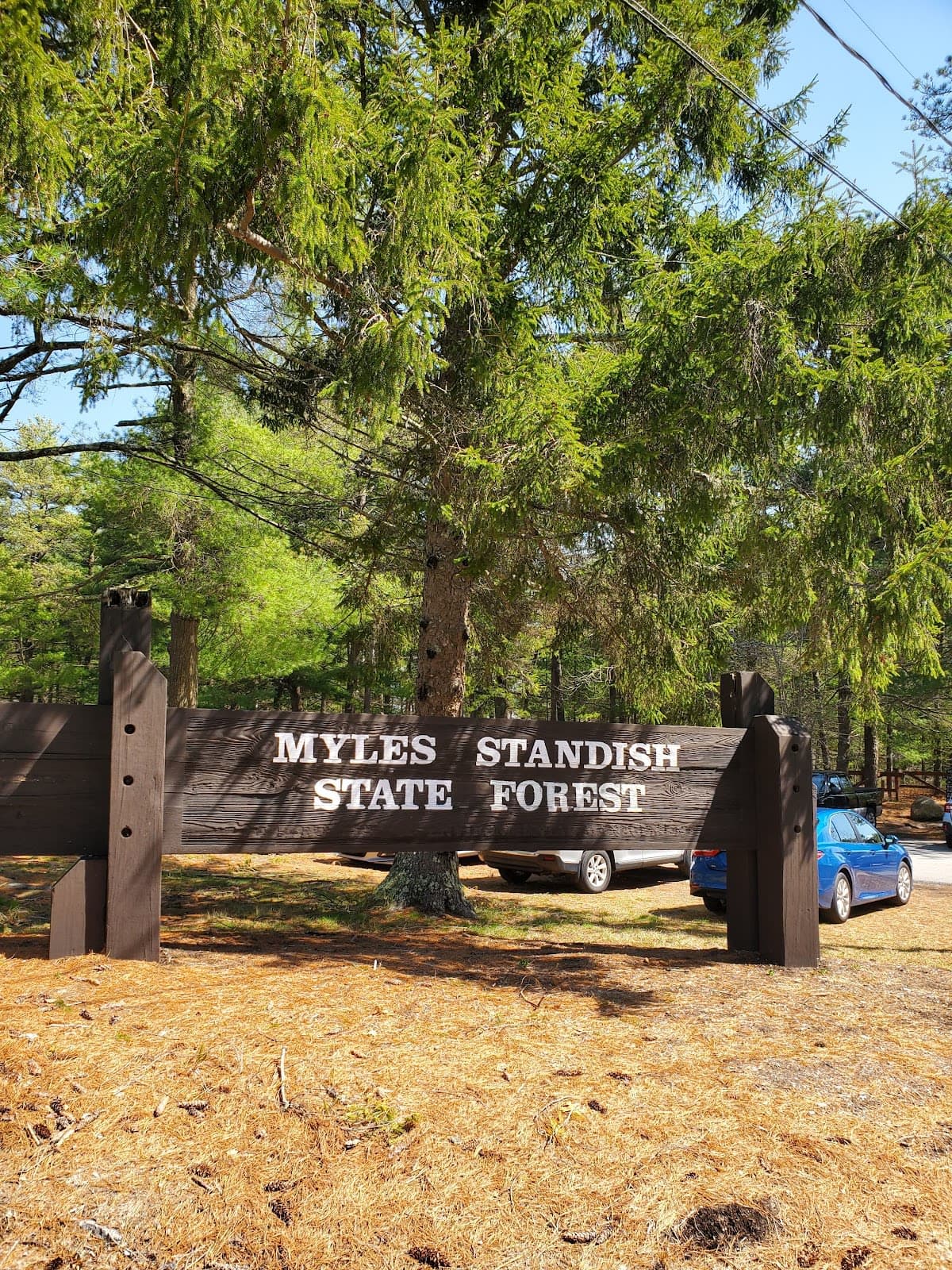 Myles Standish State Forest