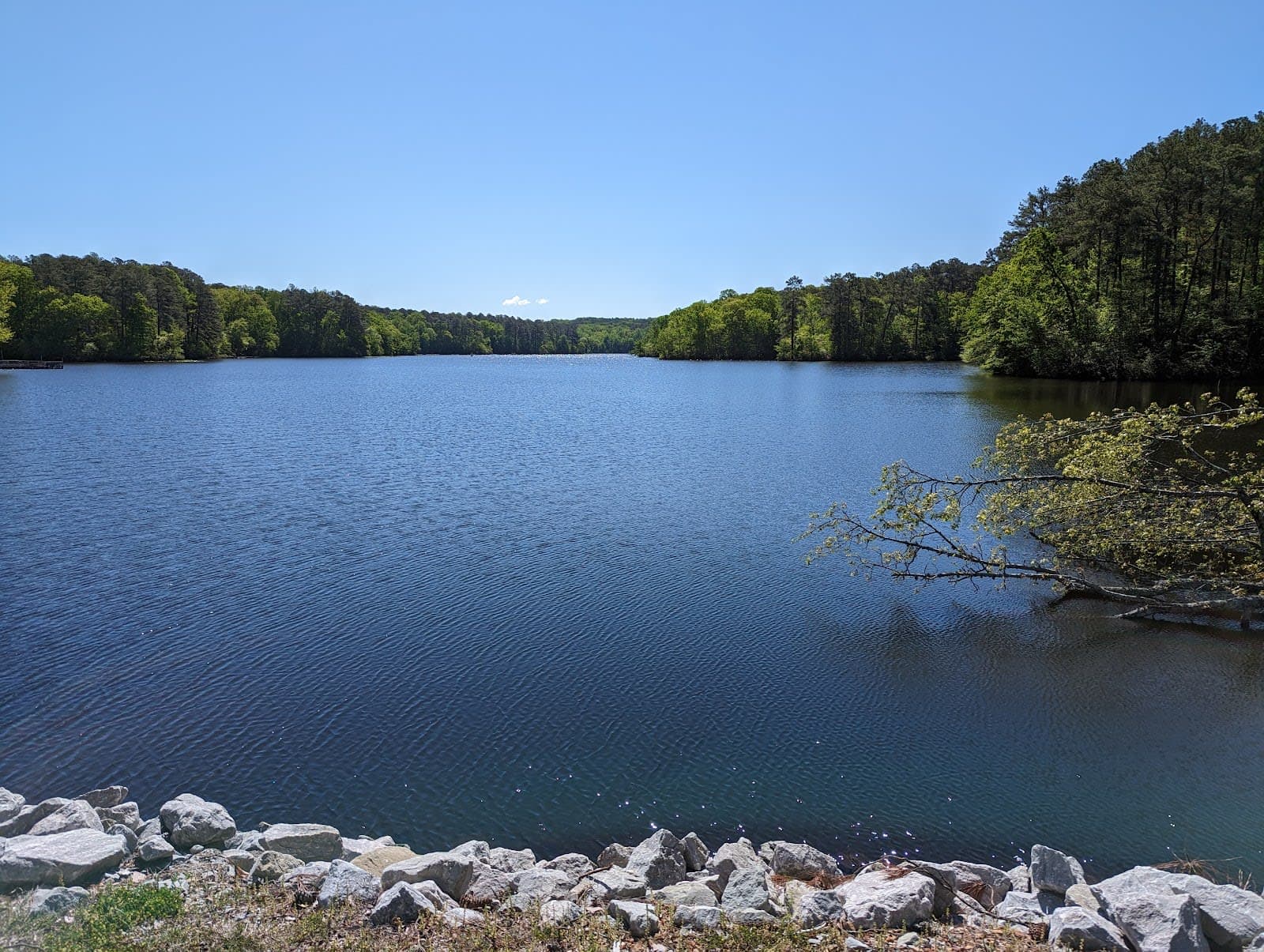 Natchez Trace State Park