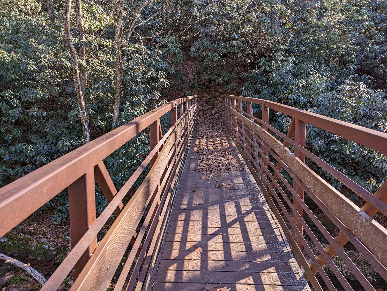 Nantahala National Forest / Bristol Fields Horse Camp