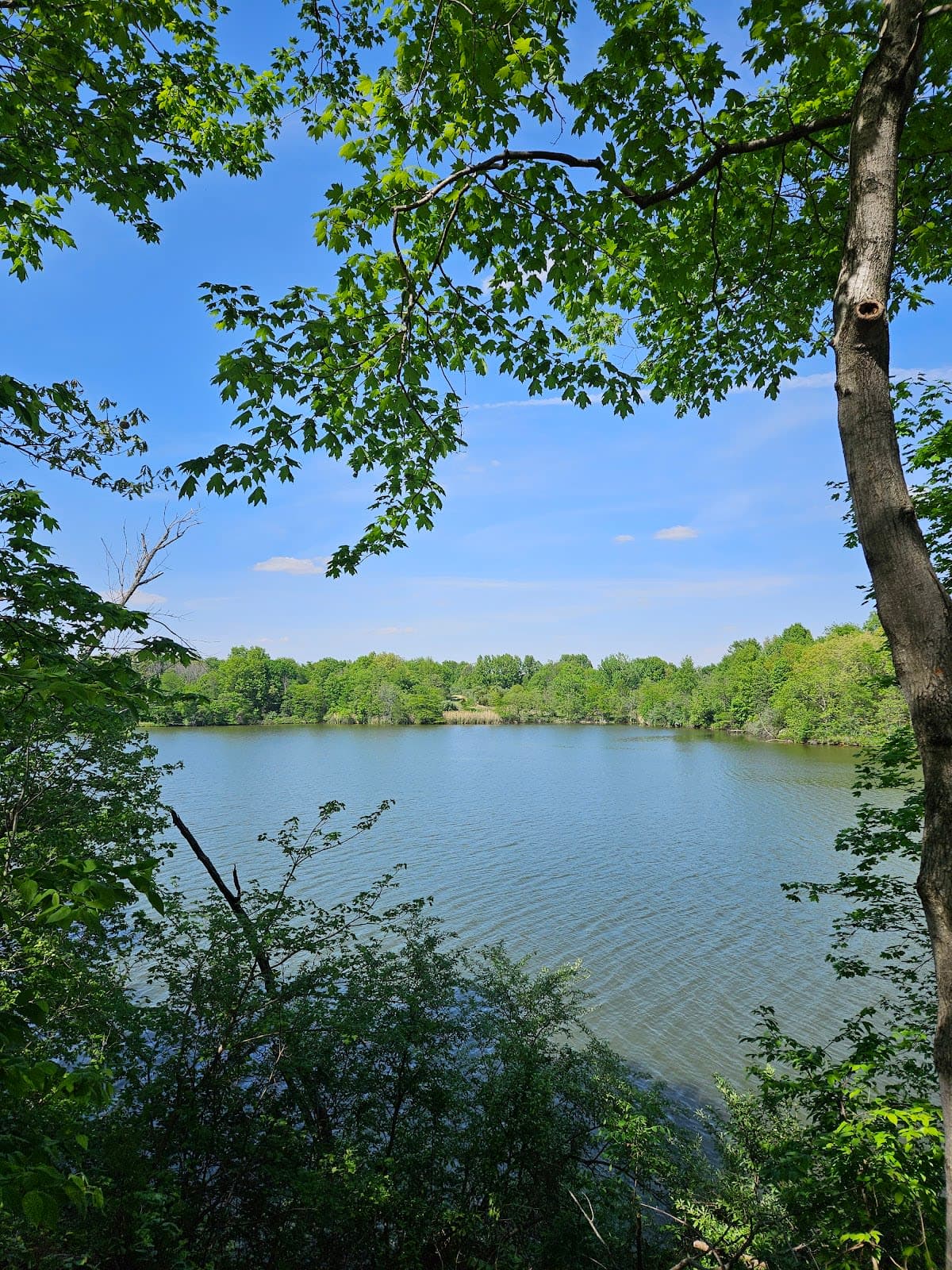 Newton Lake State Fish & Wildlife Area