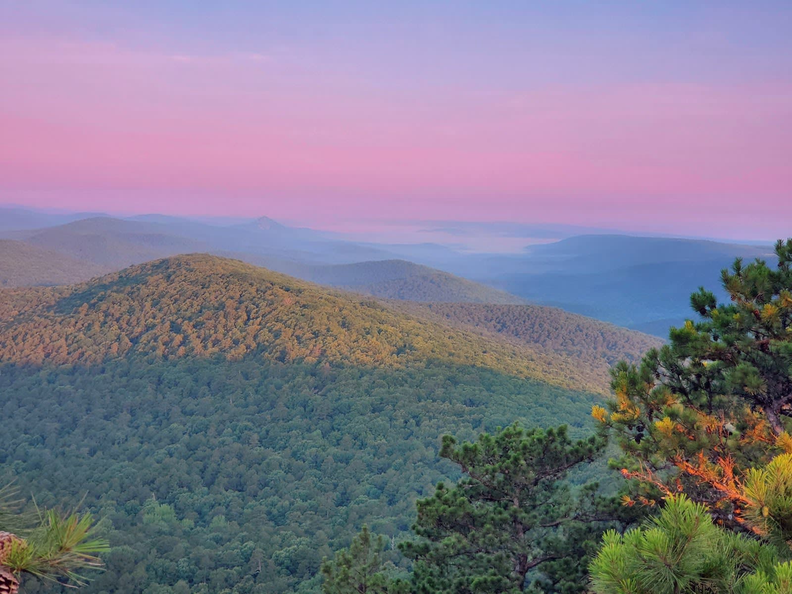 Ouachita National Forest