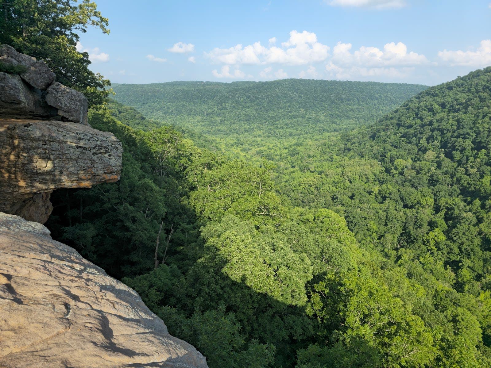 Ozark-St. Francis National Forests