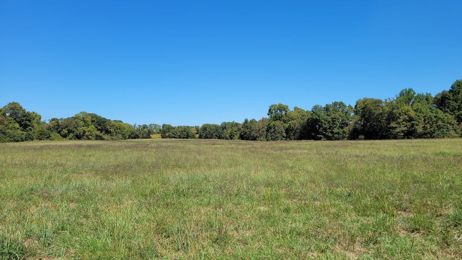Peeler Park Equestrian Trails
