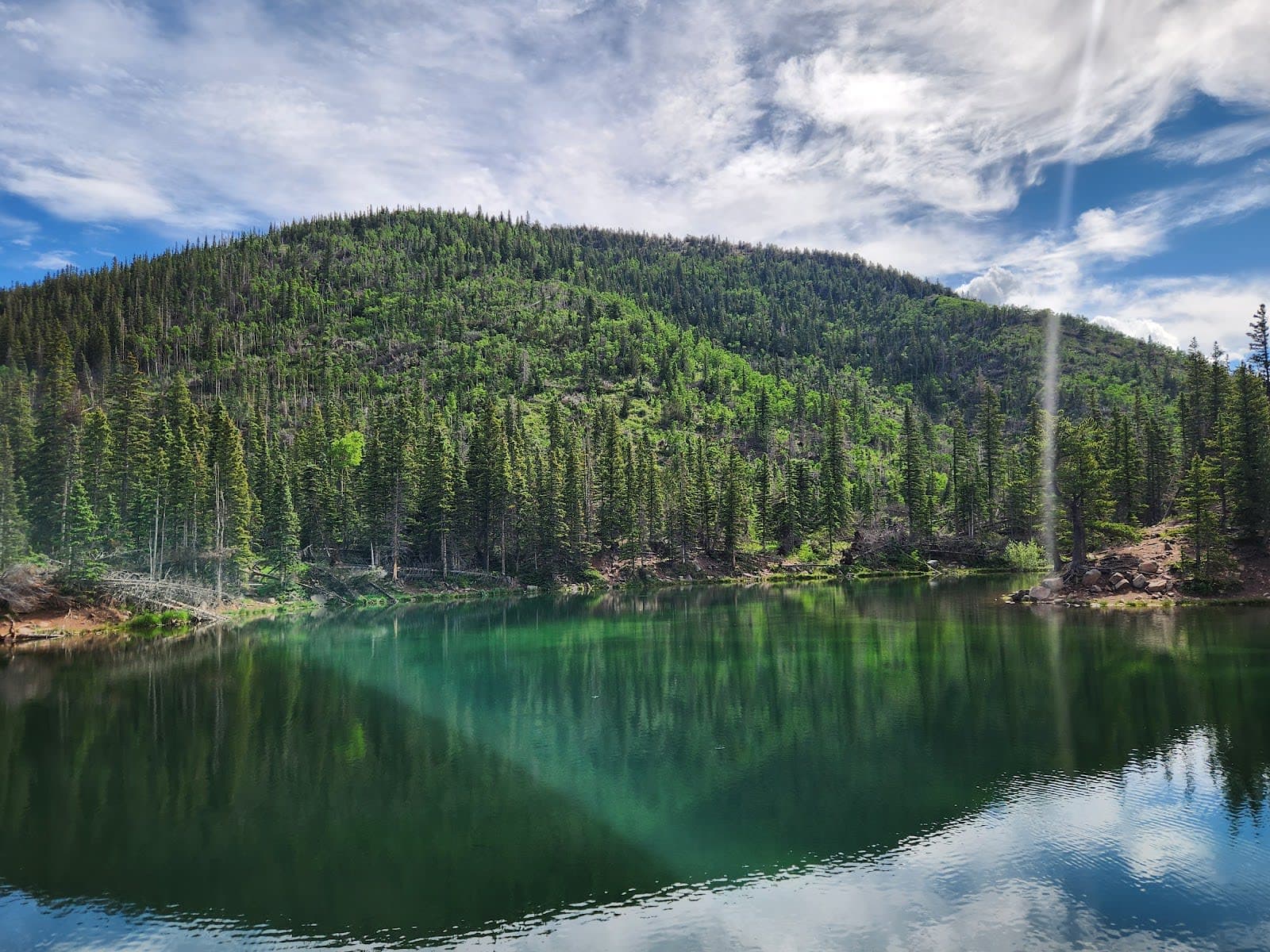 Pike National Forest