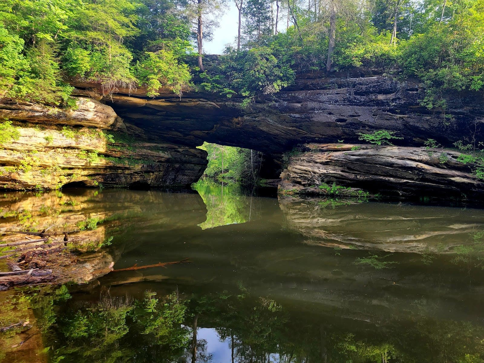 Pickett CCC Memorial State Park & Pickett State Forest