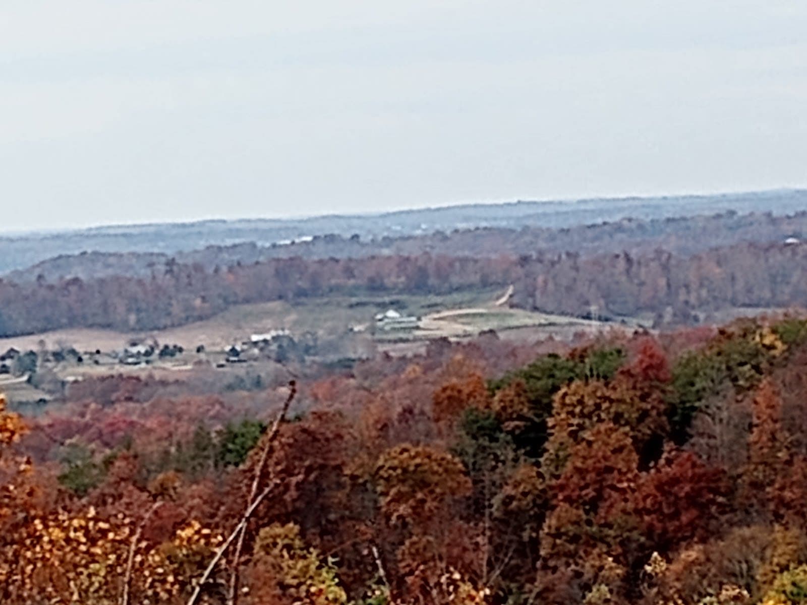 Pike State Forest