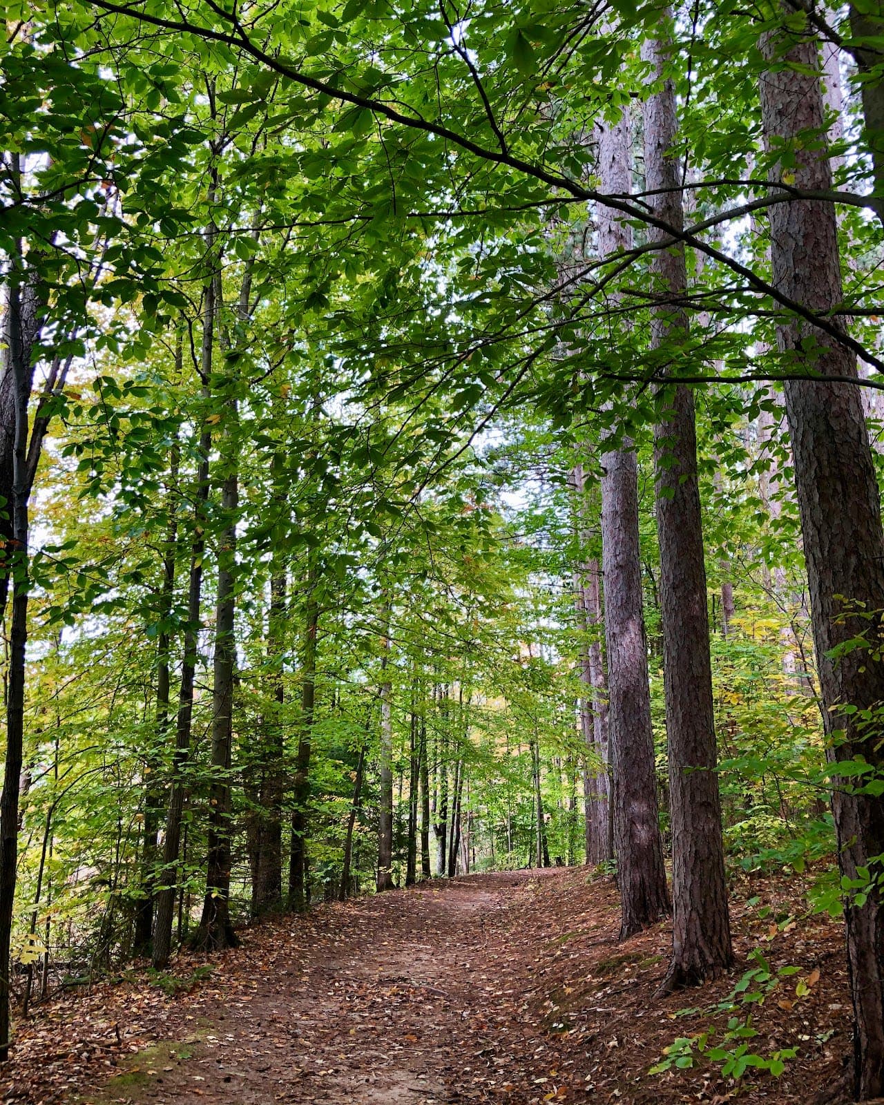 Proud Lake Recreation Area