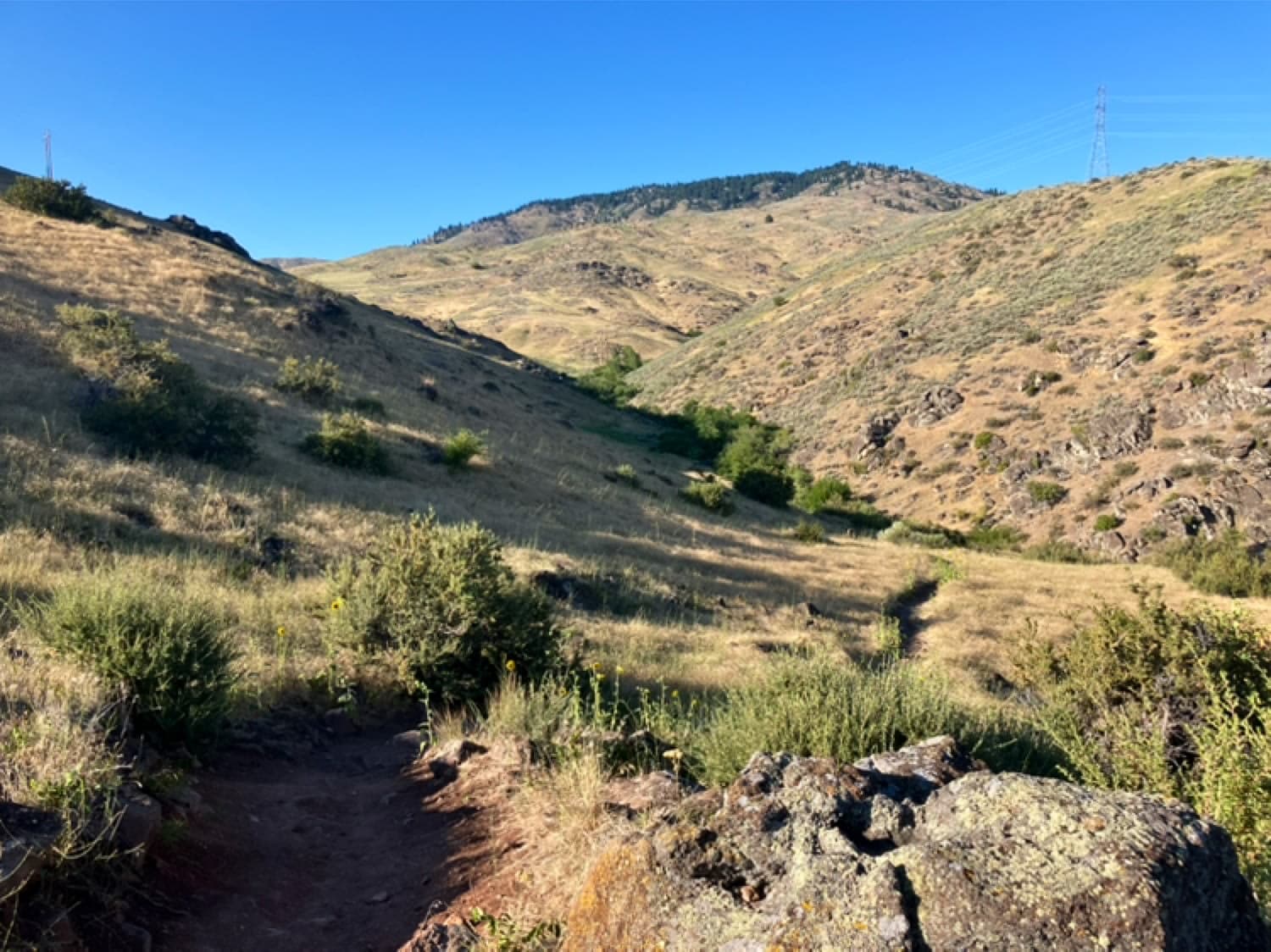 Ridge to Rivers Trail System