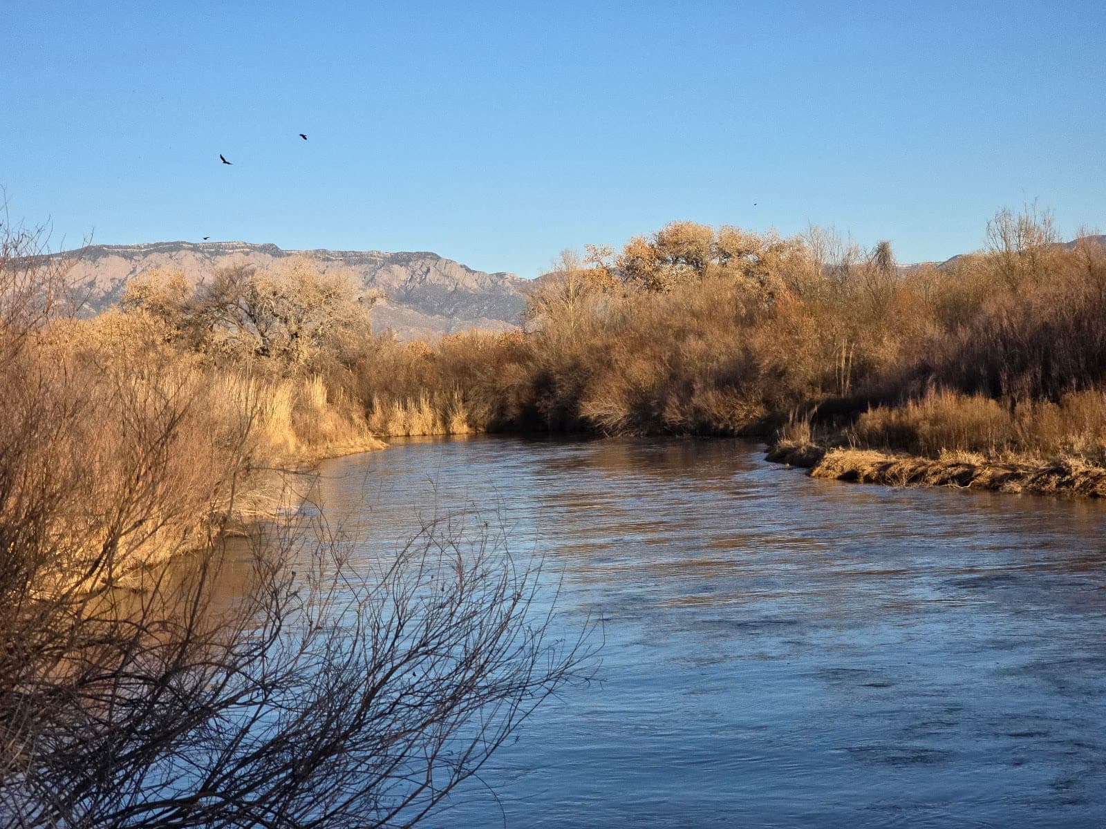 Rio Grande Valley State Park / Paseo del Bosque Trail