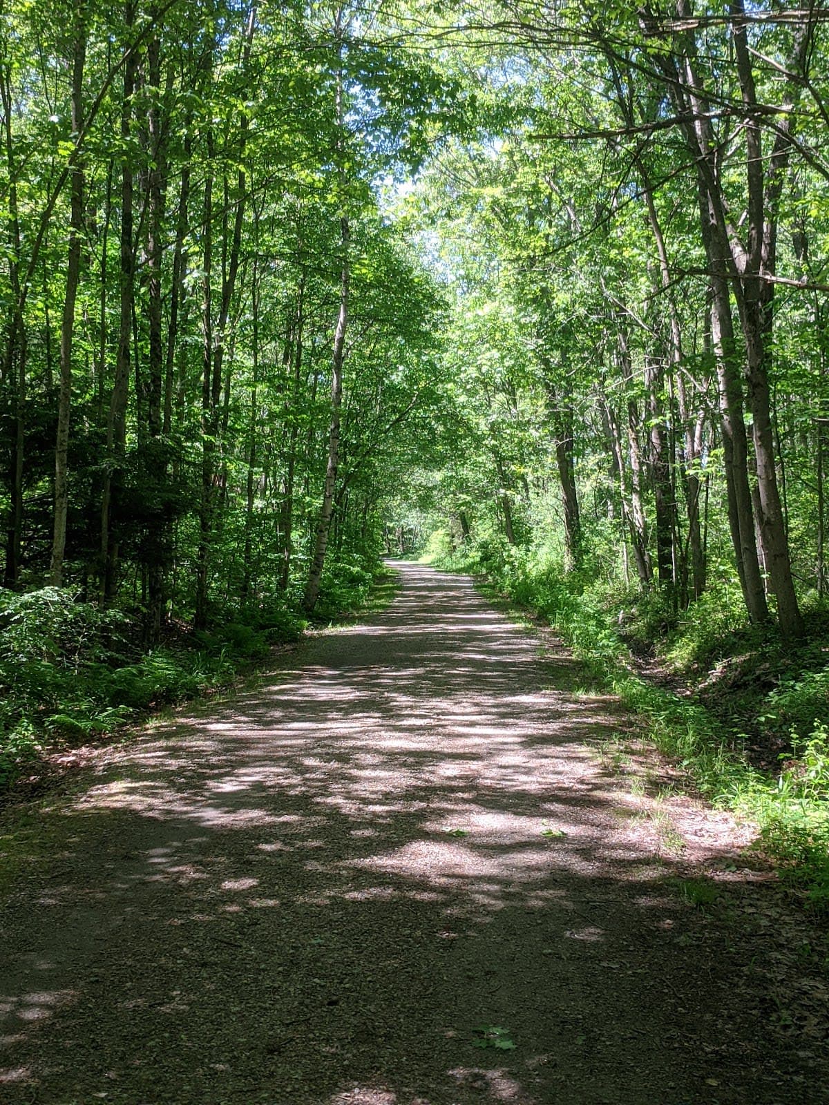 Rockingham Recreational Rail Trail, Portsmouth Branch