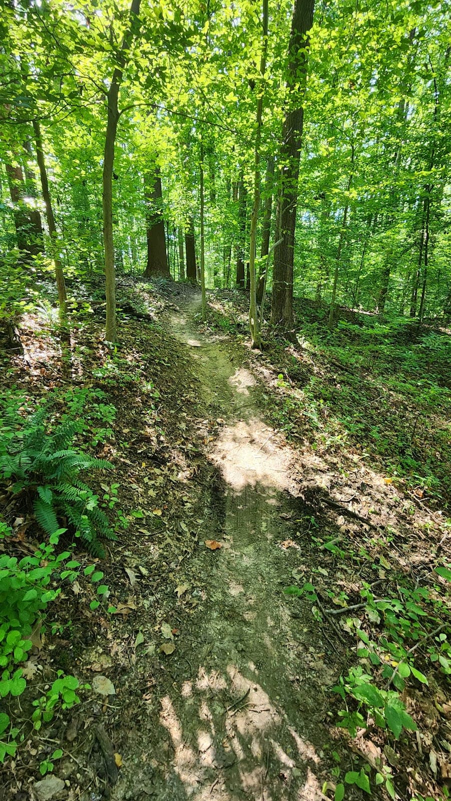 Rosaryville State Park