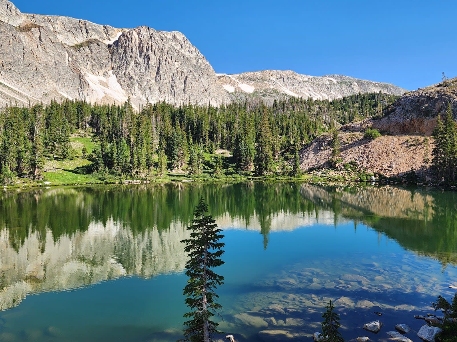 Routt National Forest