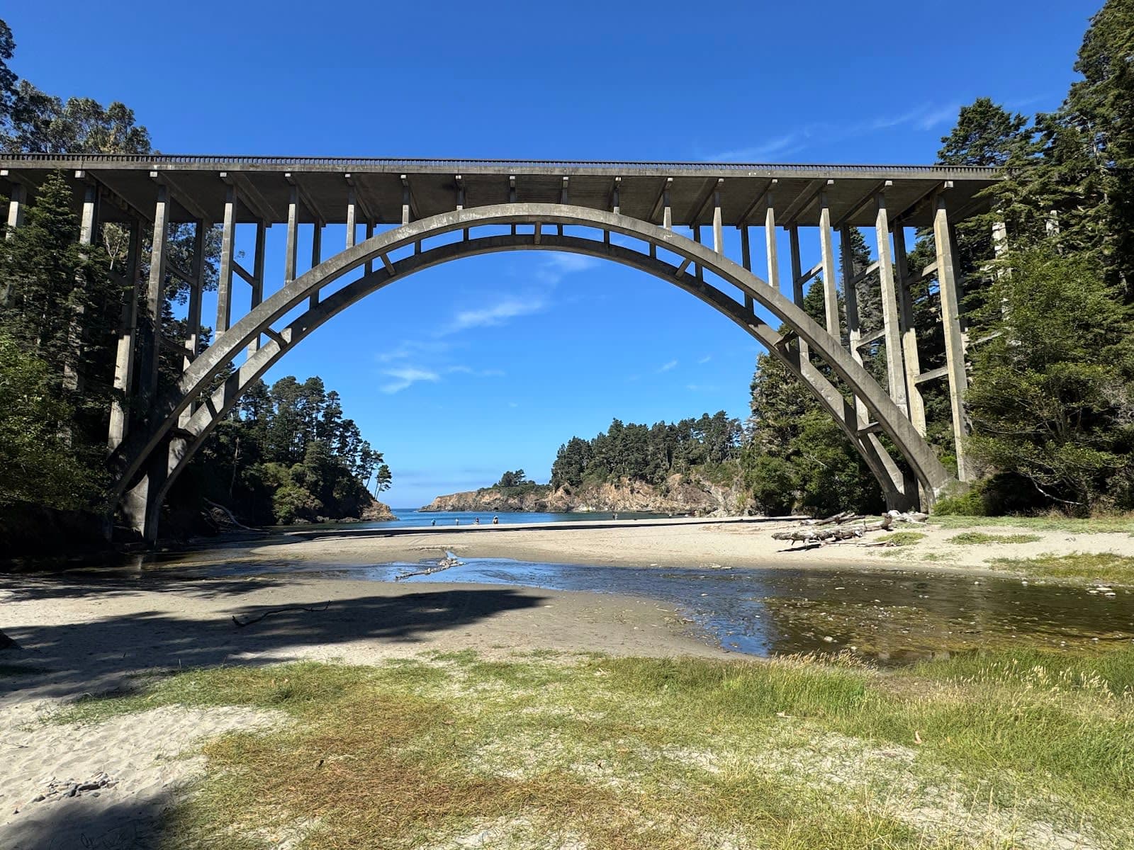 Russian Gulch State Park