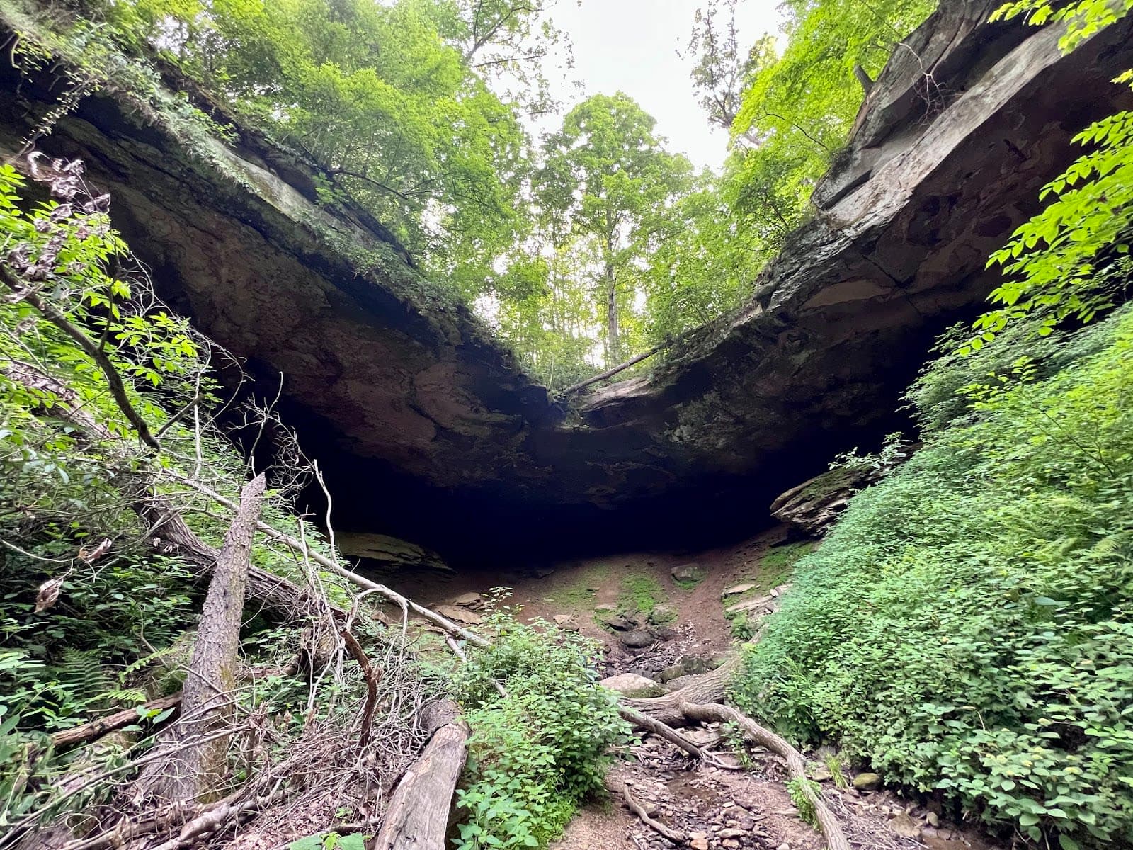 Salt Fork State Park