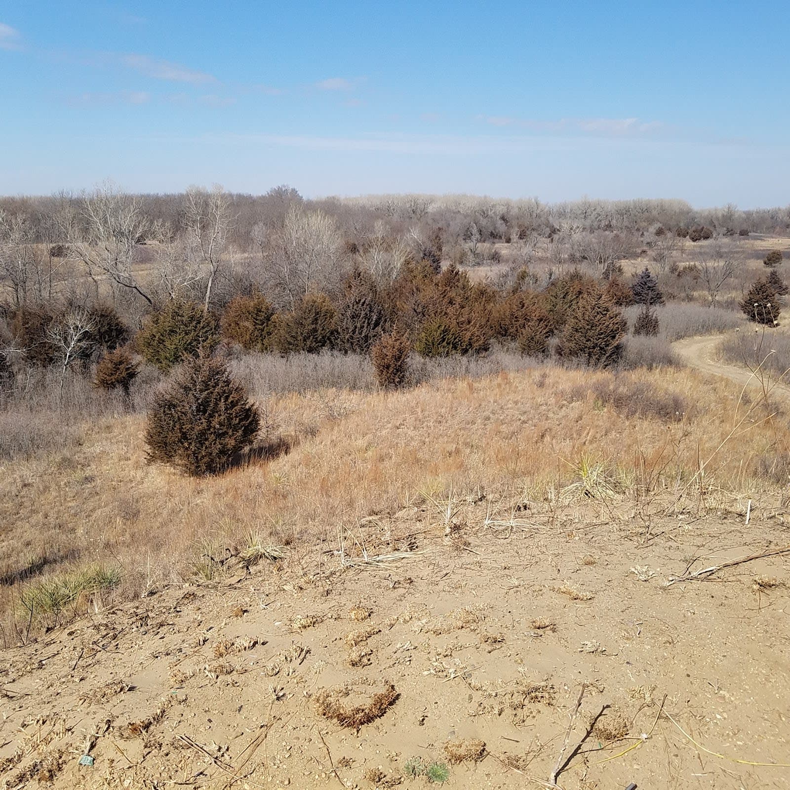 Sand Hills State Park
