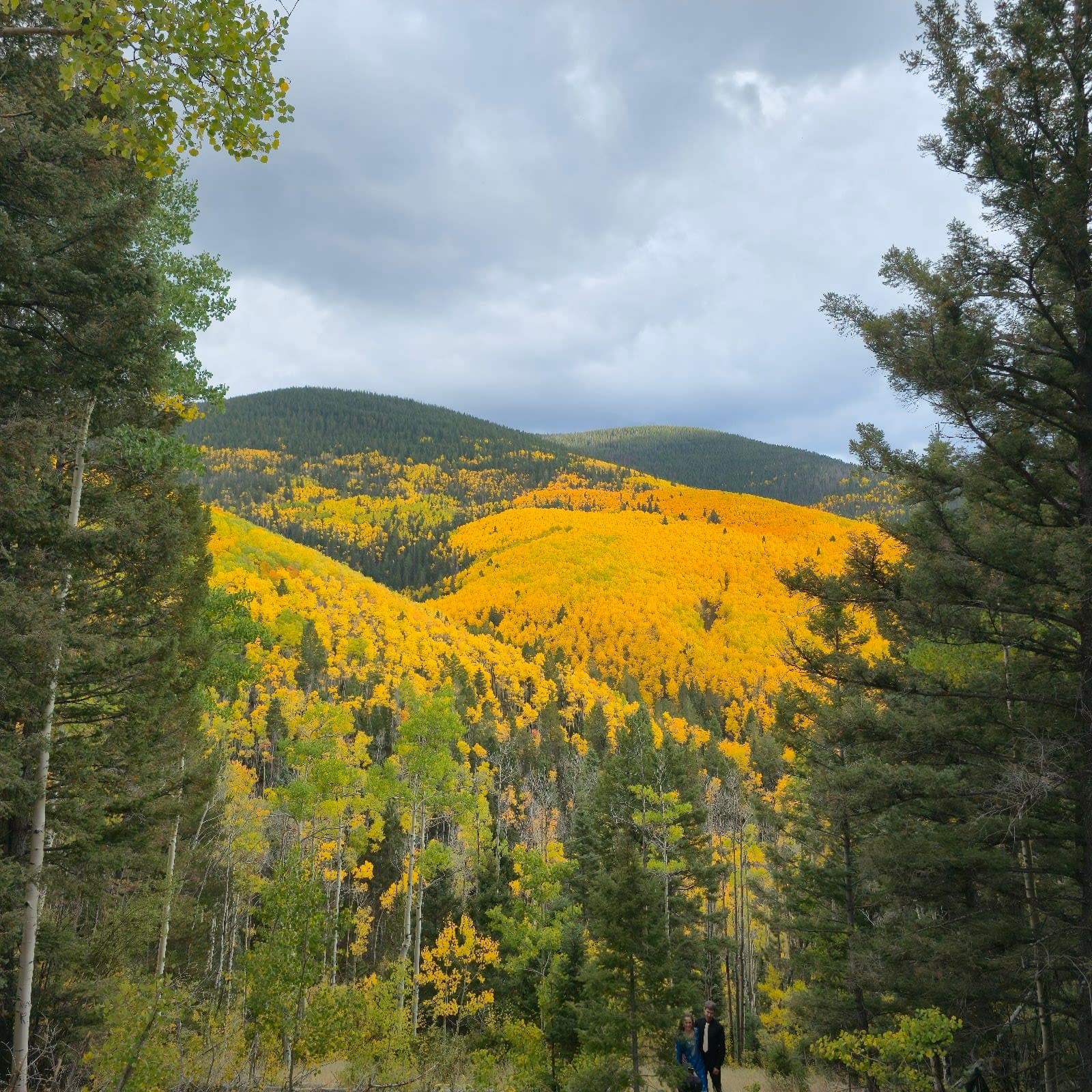 Santa Fe National Forest