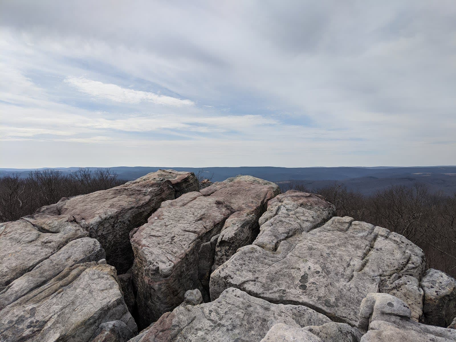 Savage River State Forest