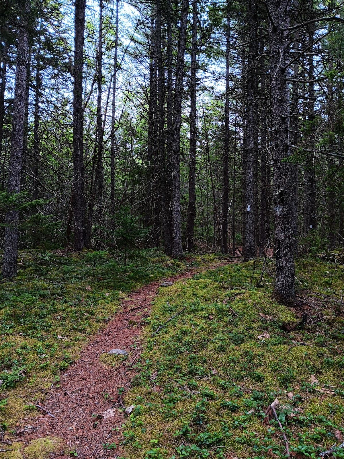 School House Pond Preserve