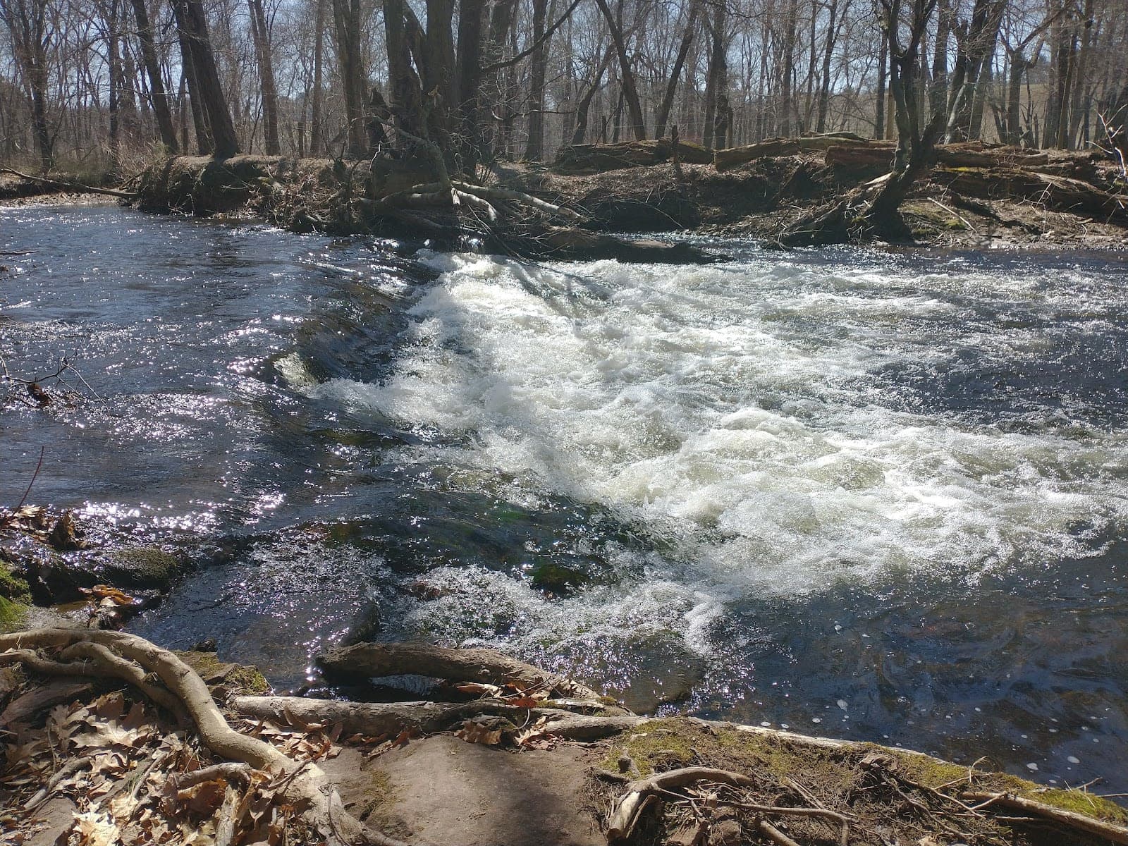 Scantic River State Park