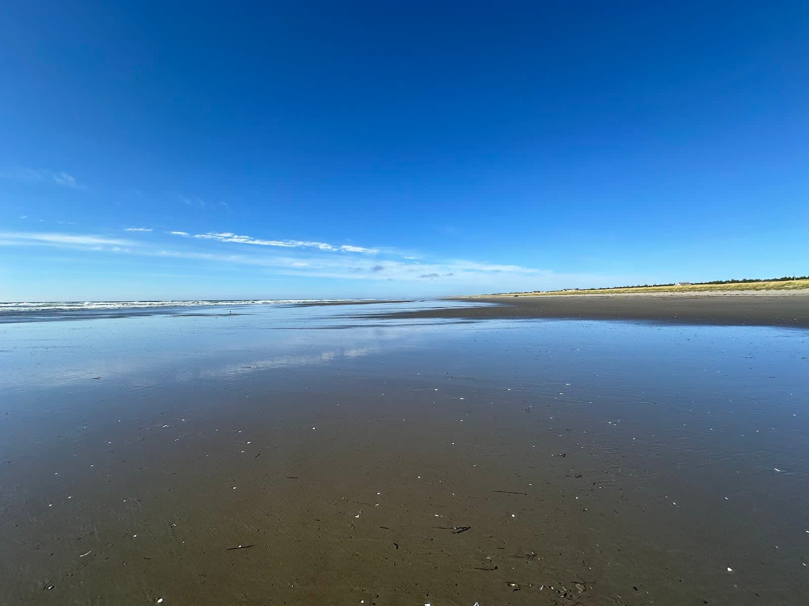 Seashore Conservation Area