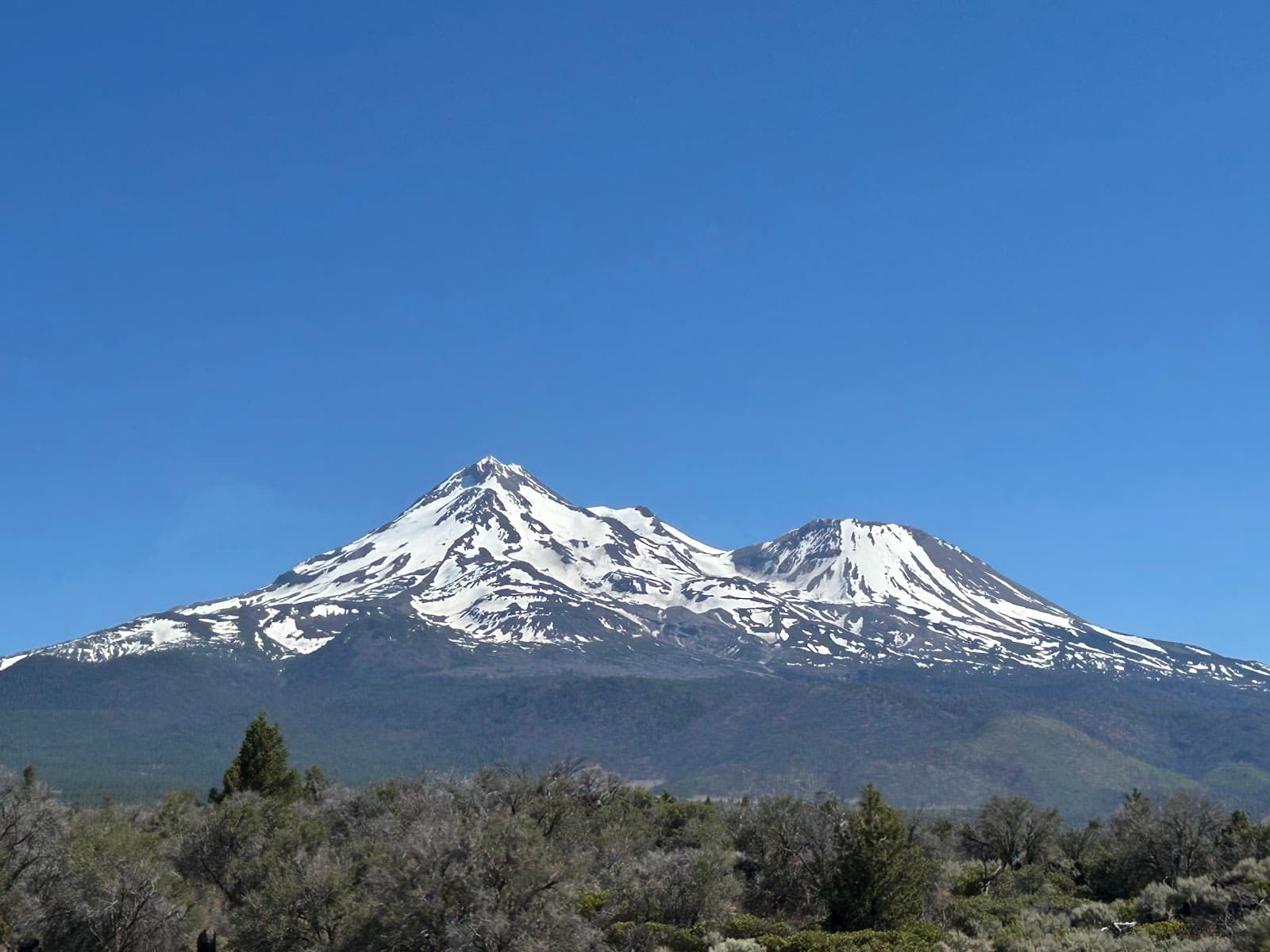 Shasta-Trinity National Forest