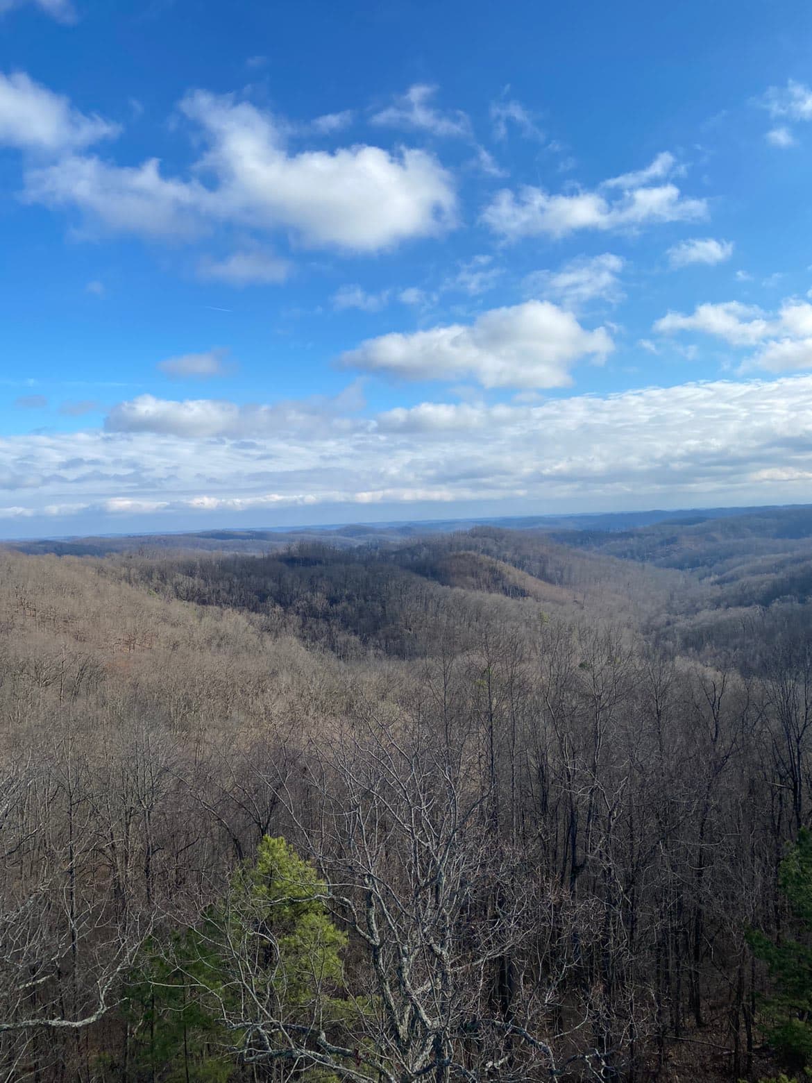 Shawnee State Forest