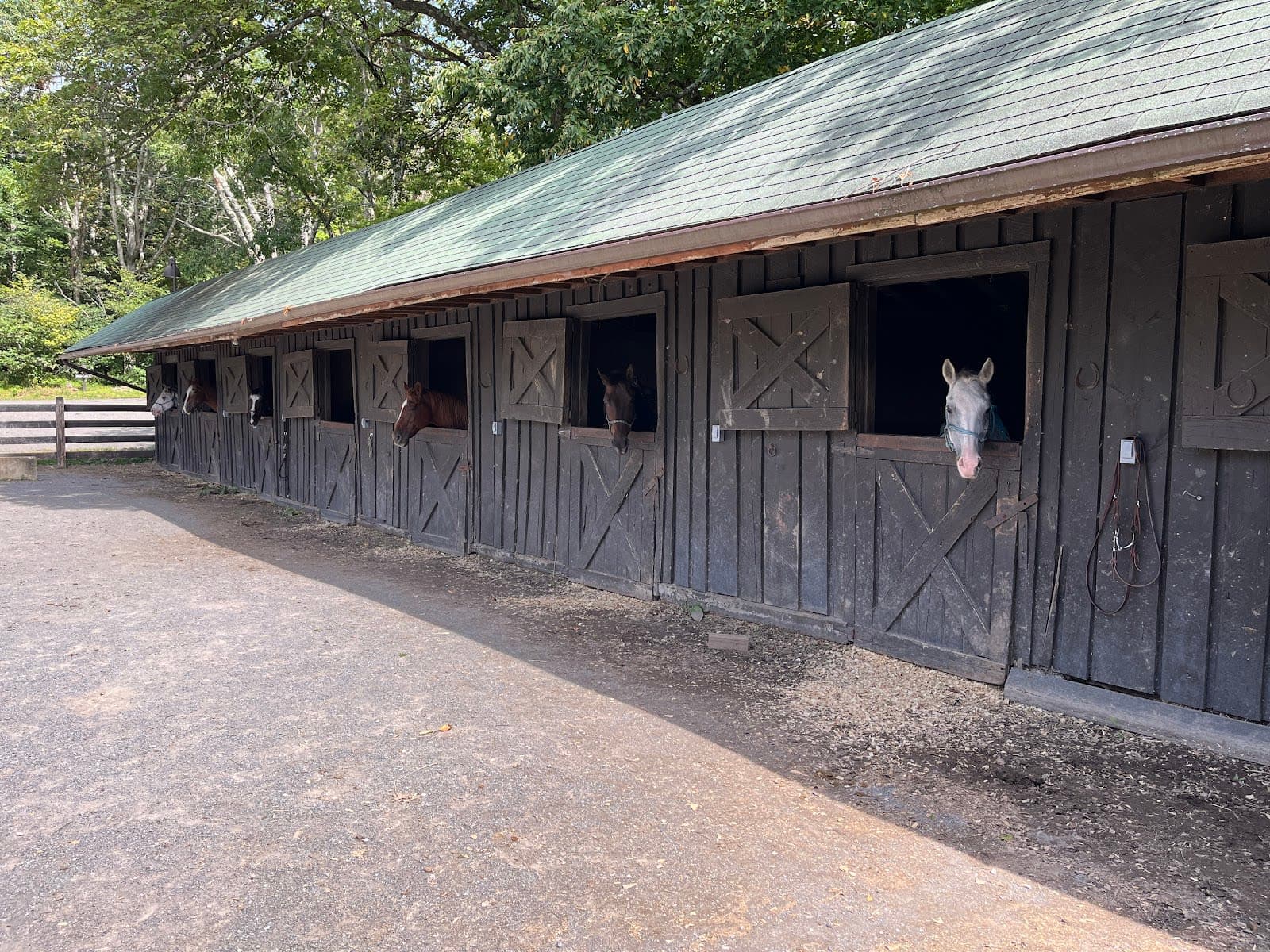 Shenandoah National Park / Skyland Stables