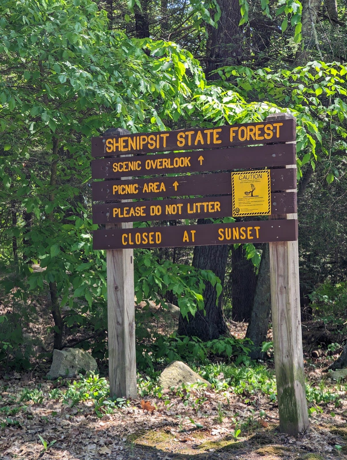 Shenipsit State Forest