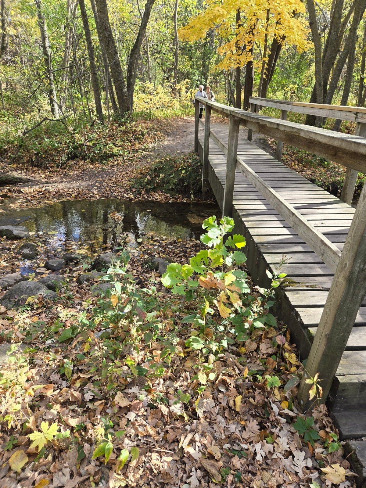 Sica Hollow State Park