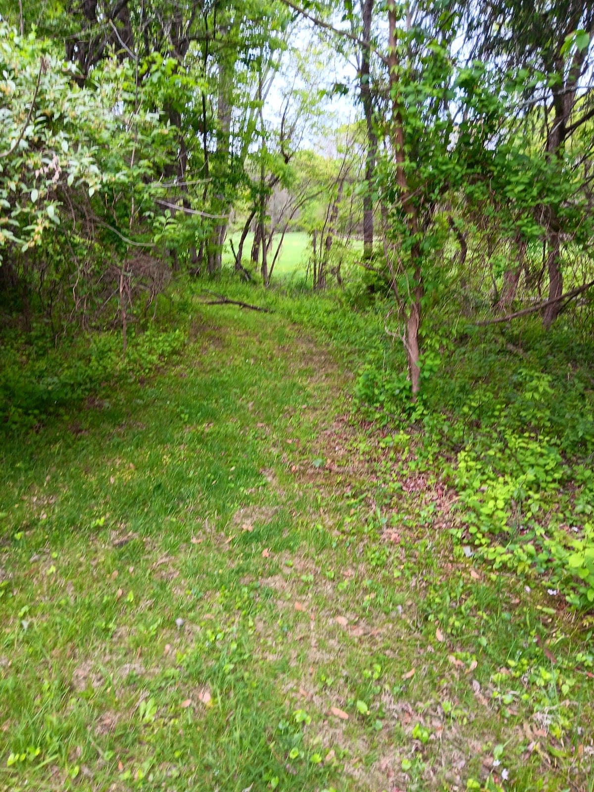 Six Mile Run Reservoir Site