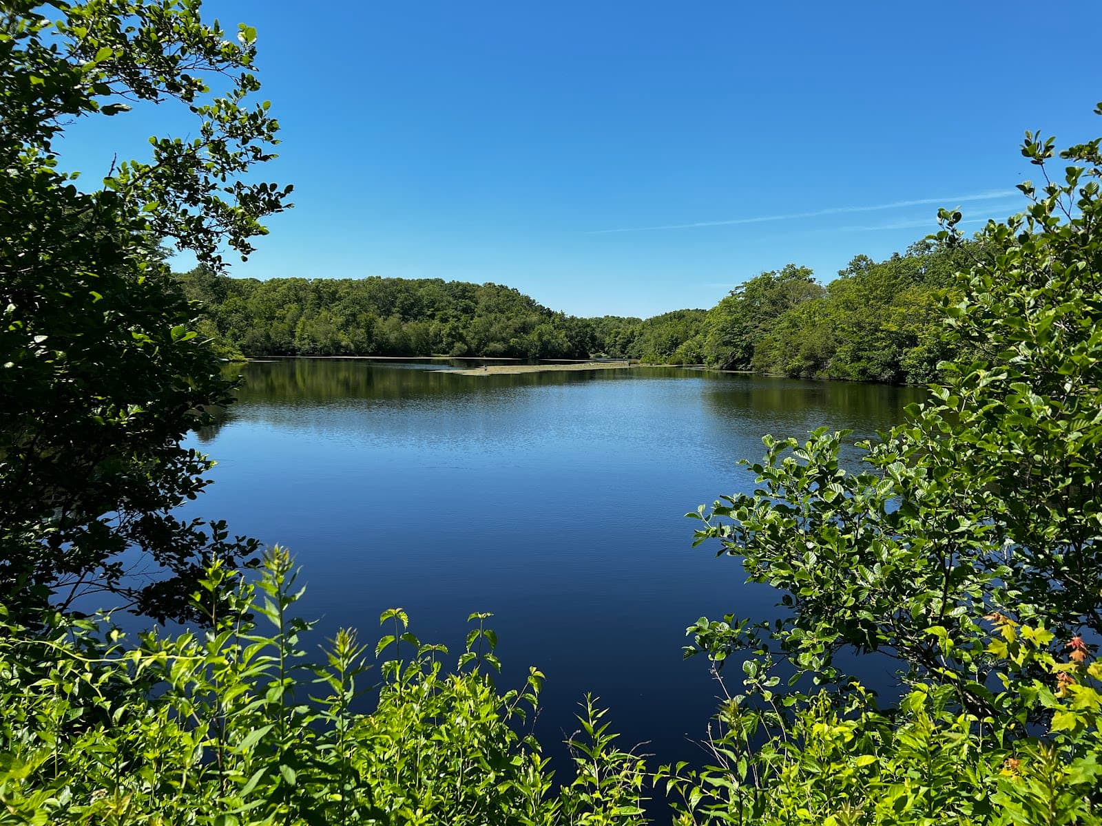 Simmons Mill Pond Management Area