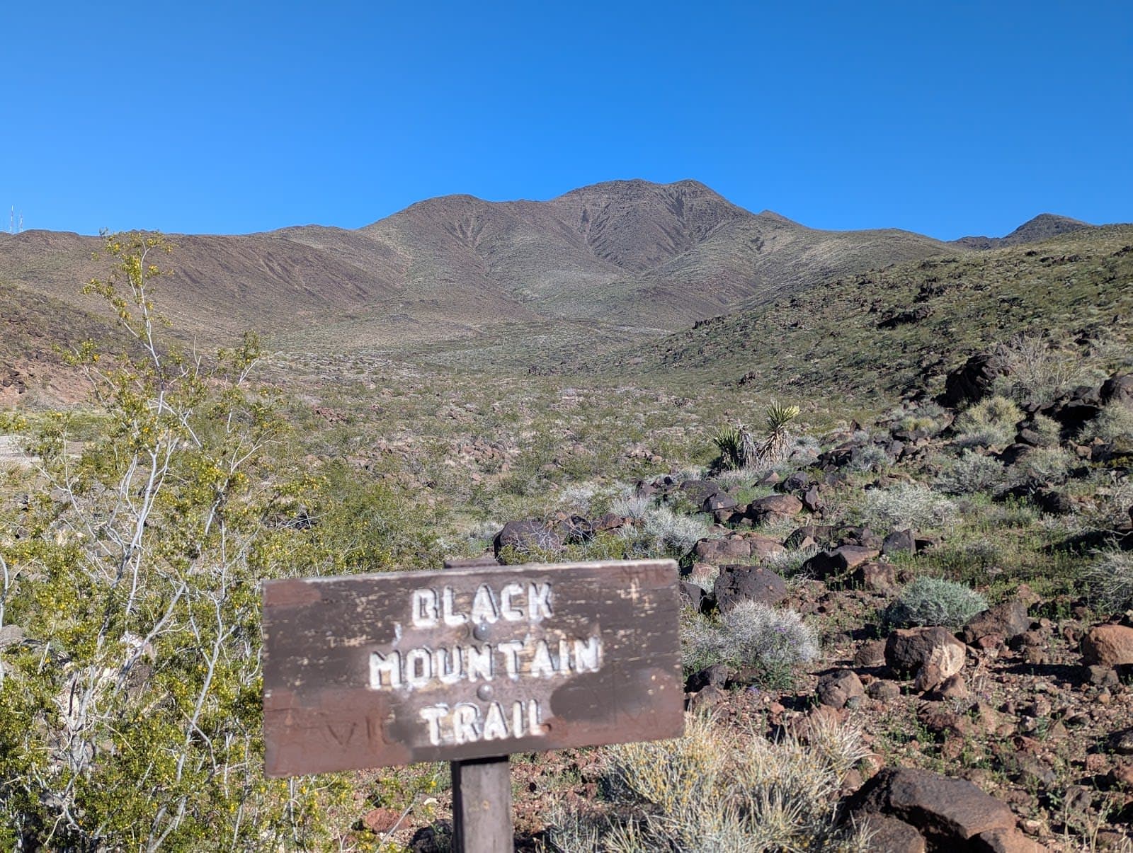 Sloan Canyon National Conservation Area