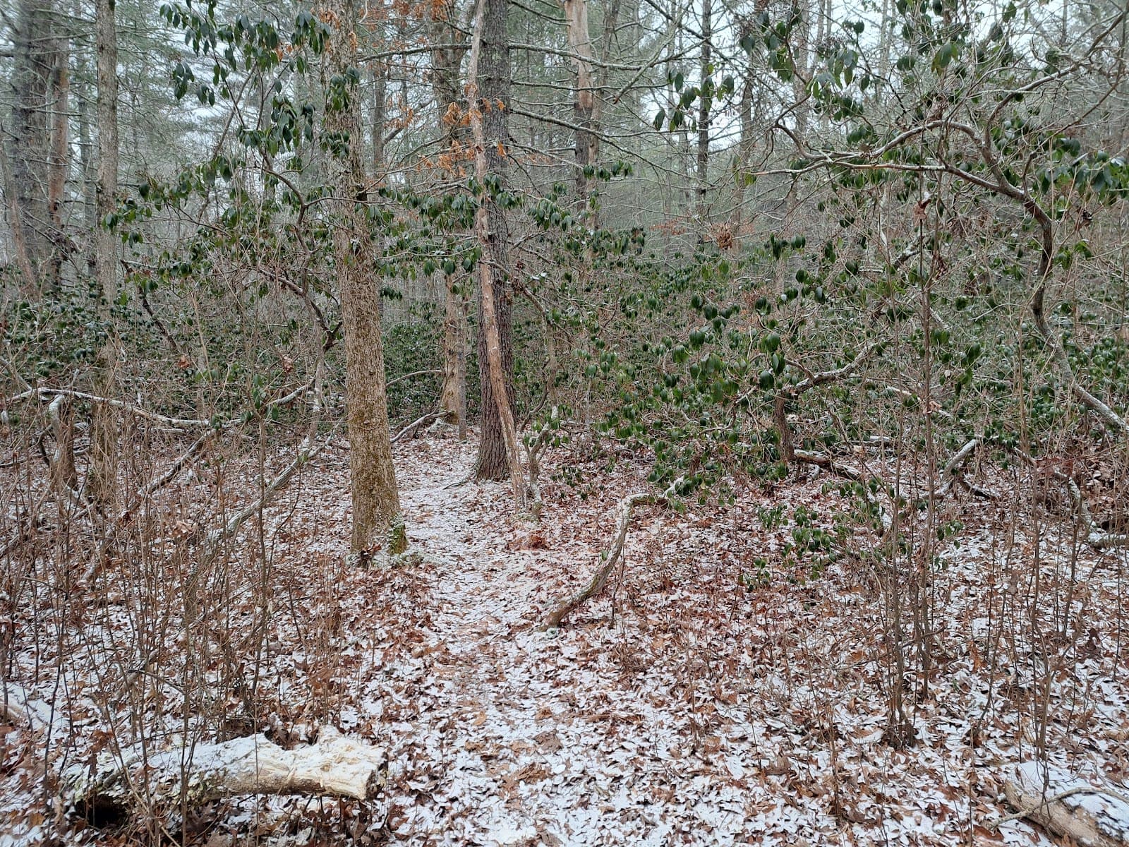 South Farm Preserve