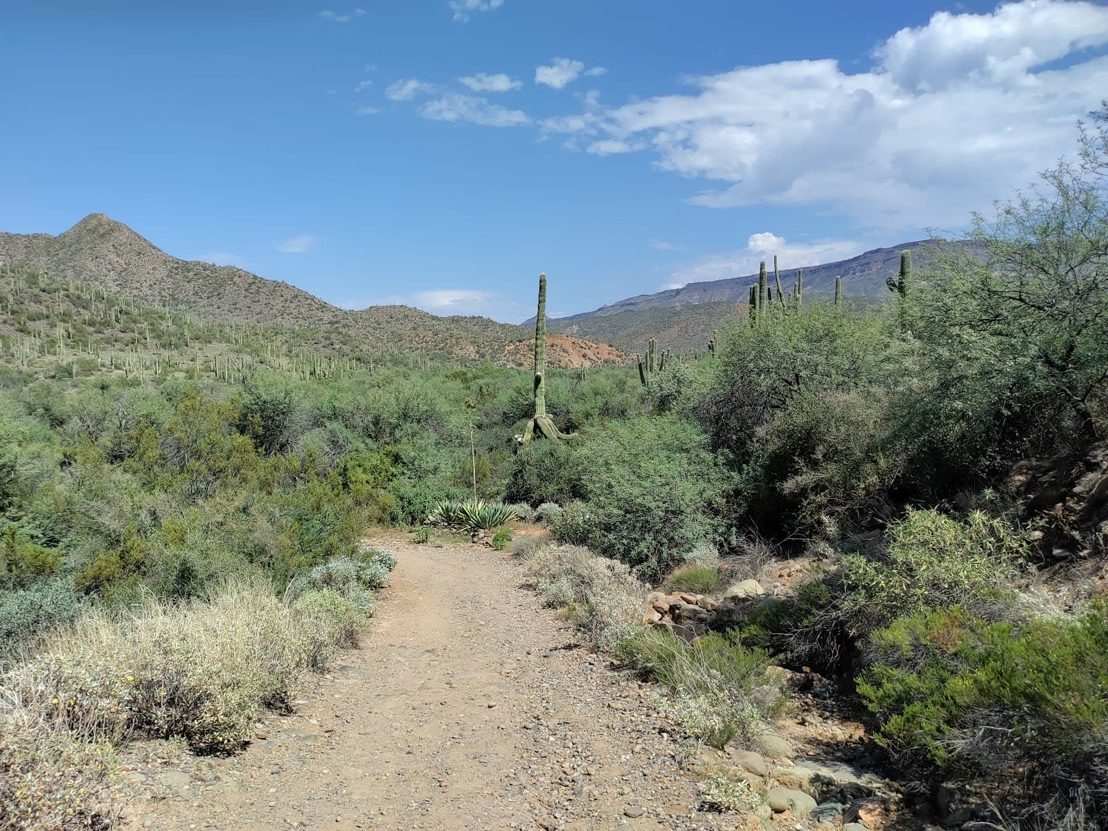 Spur Cross Ranch Conservation Area