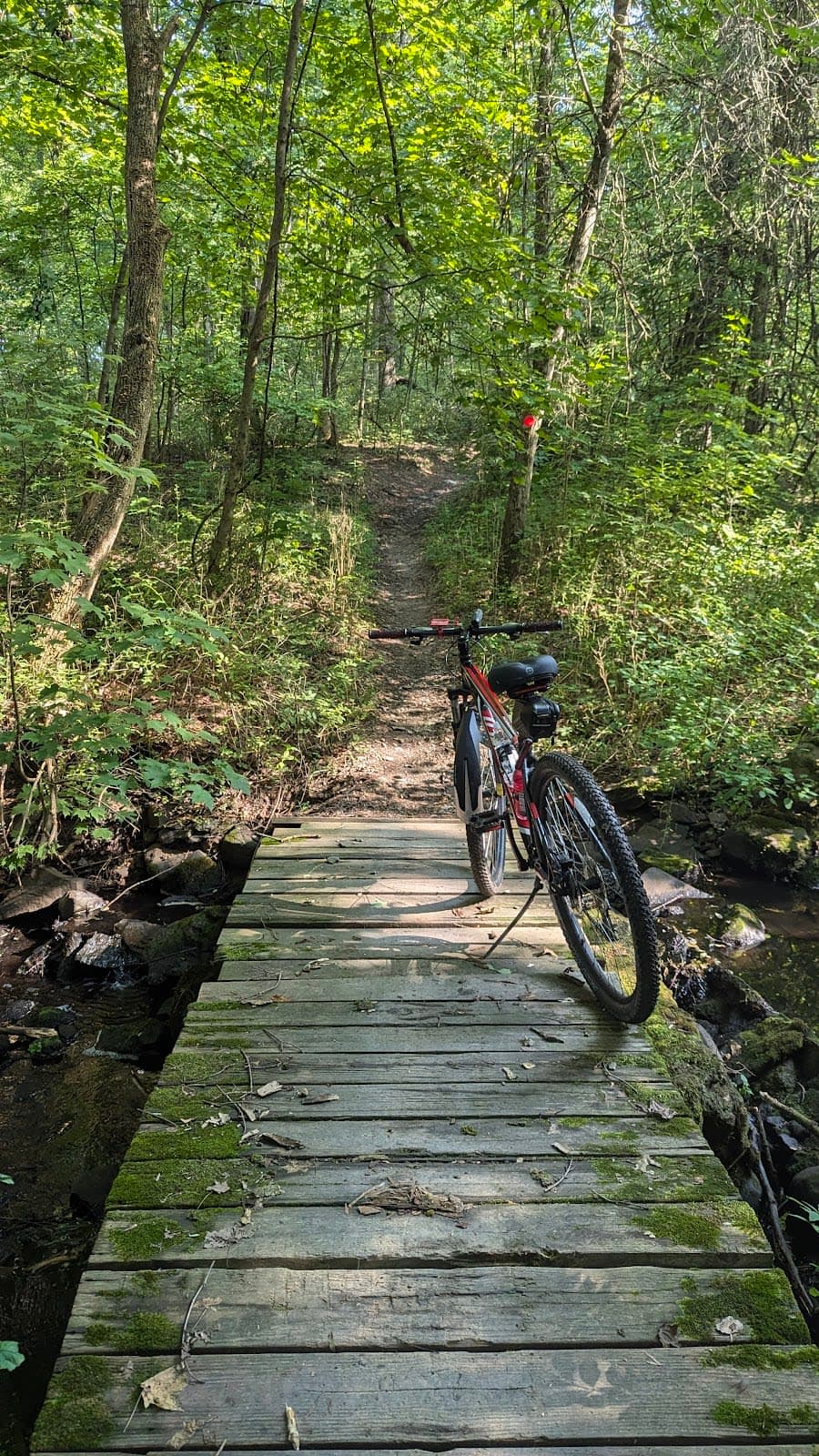 Stewart State Forest